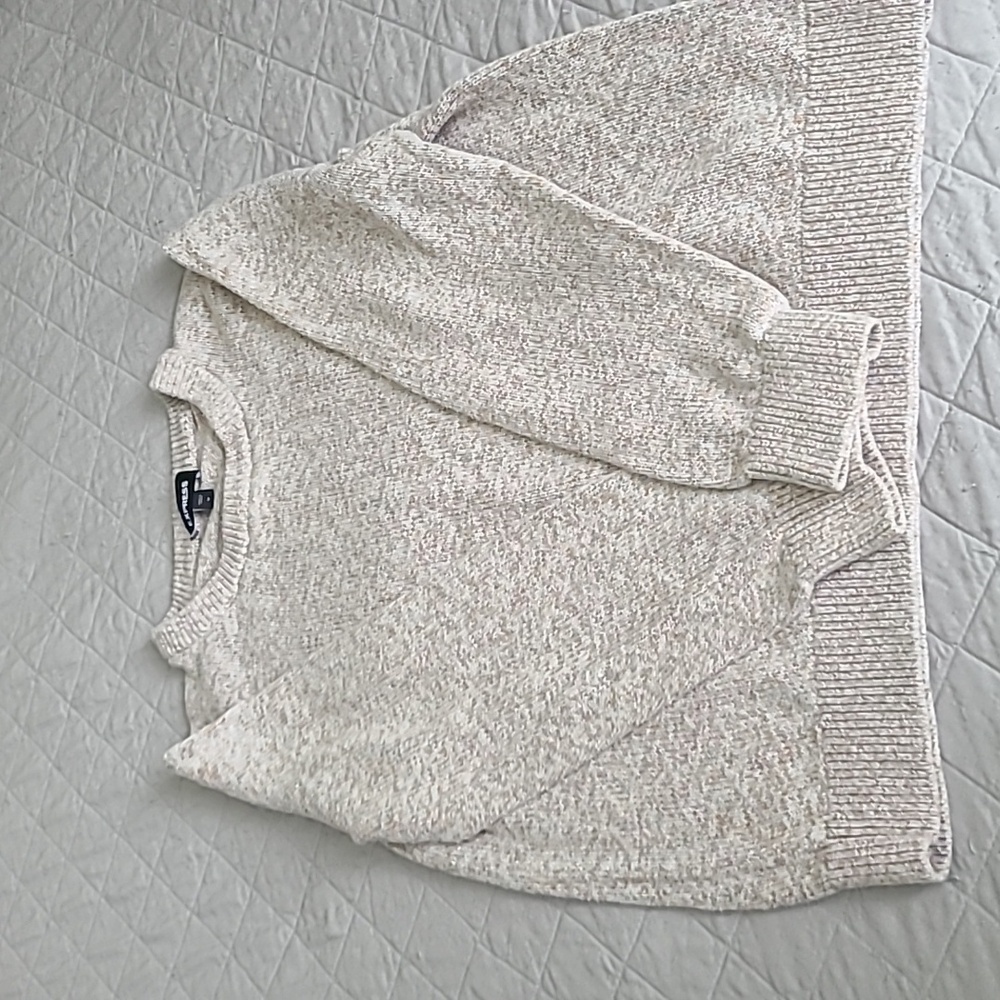 Express size medium sweater